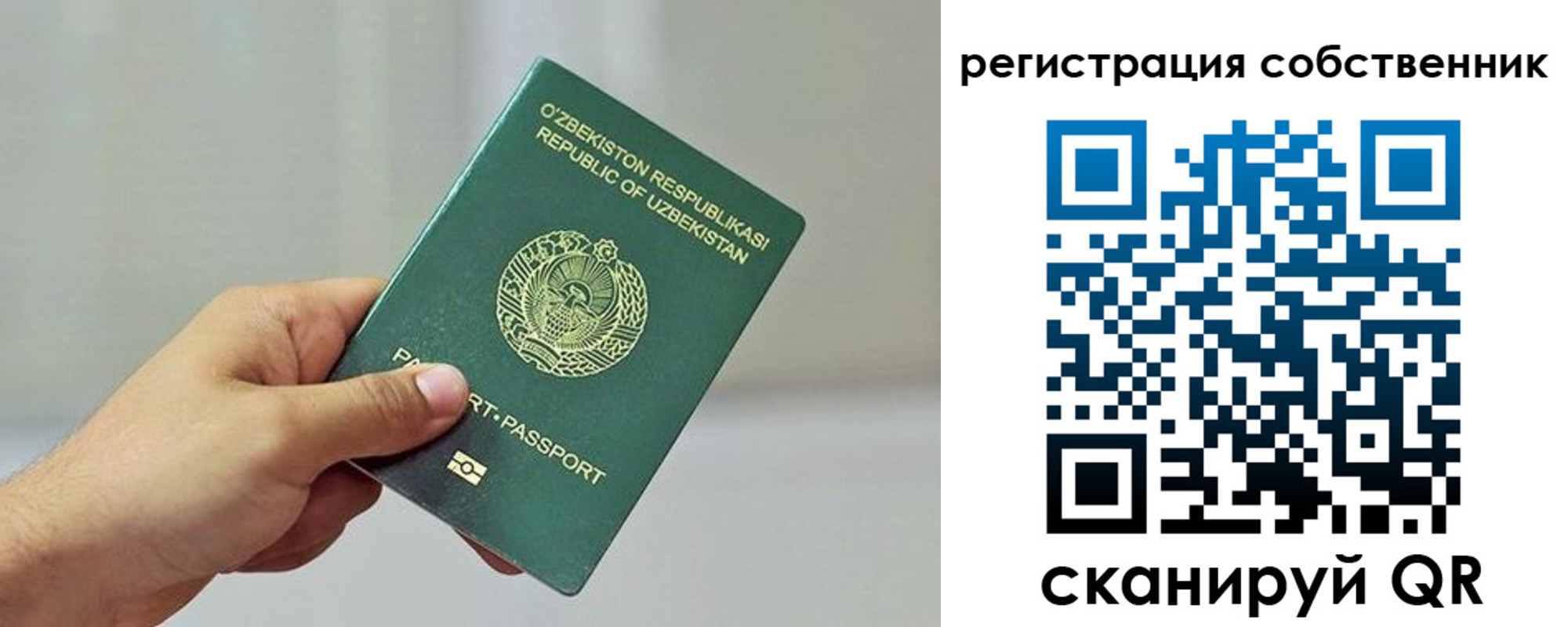 прописка поиск в Михайловке
